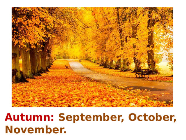 Autumn: September, October, November.