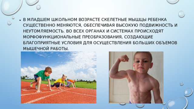 В младшем школьном возрасте скелетные мышцы ребенка существенно меняются, обеспечивая высокую подвижность и неутомляемость. Во всех органах и системах происходят морфофункциональные преобразования, создающие благоприятные условия для осуществления больших объемов мышечной работы.