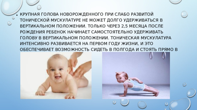 Крупная голова новорожденного при слабо развитой тонической мускулатуре не может долго удерживаться в вертикальном положении. Только через 2,5 месяца после рождения ребенок начинает самостоятельно удерживать голову в вертикальном положении. Тоническая мускулатура интенсивно развивается на первом году жизни, и это обеспечивает возможность сидеть в полгода и стоять прямо в год.