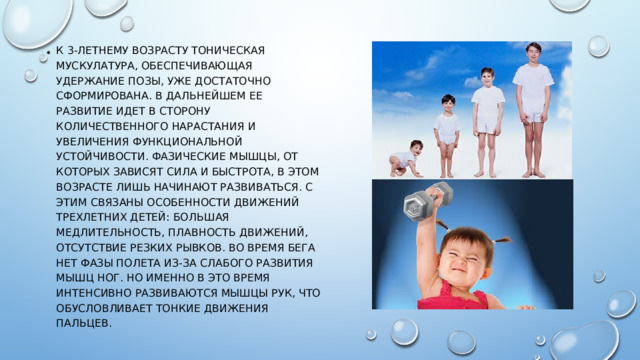 К 3-летнему возрасту тоническая мускулатура, обеспечивающая удержание позы, уже достаточно сформирована. В дальнейшем ее развитие идет в сторону количественного нарастания и увеличения функциональной устойчивости. Фазические мышцы, от которых зависят сила и быстрота, в этом возрасте лишь начинают развиваться. С этим связаны особенности движений трехлетних детей: большая медлительность, плавность движений, отсутствие резких рывков. Во время бега нет фазы полета из-за слабого развития мышц ног. Но именно в это время интенсивно развиваются мышцы рук, что обусловливает тонкие движения пальцев.