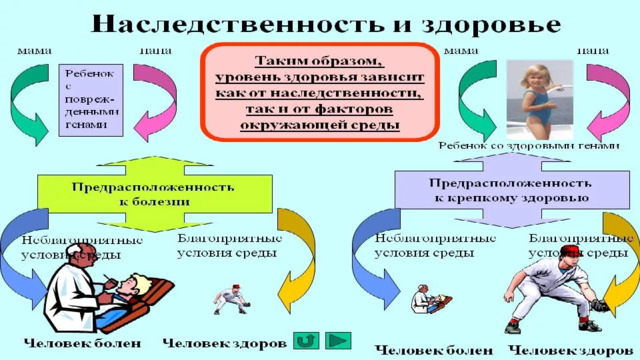 Рост (в процентах к окончательному росту взрослого человека)