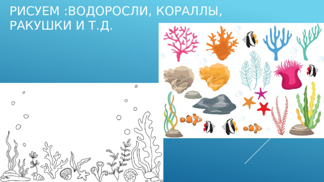 Рисуем :водоросли, кораллы, ракушки и т.д.