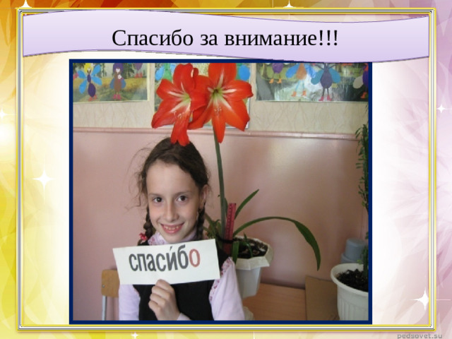 Спасибо за внимание!!!