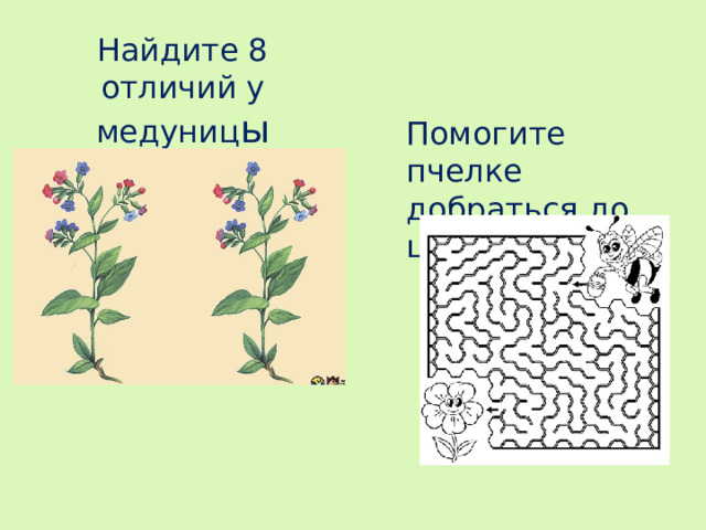 Найдите 8 отличий у медуниц ы Помогите пчелке добраться до цветка