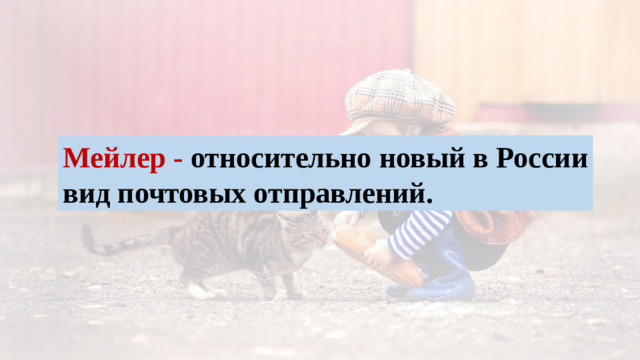 Мейлер - относительно новый в России вид почтовых отправлений.