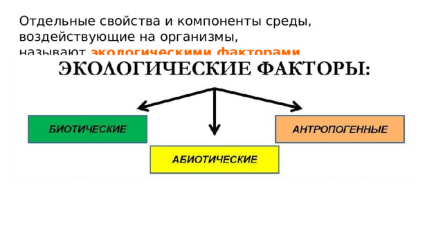 Отдельные свойства и компоненты среды, воздействующие на организмы, называют  экологическими факторами