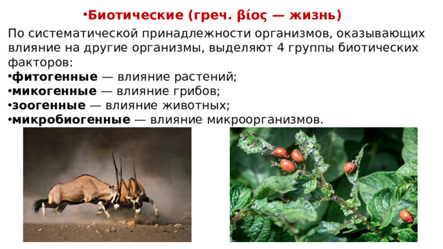 Биотические (греч. βίος — жизнь) По систематической принадлежности организмов, оказывающих влияние на другие организмы, выделяют 4 группы биотических факторов:  фитогенные  — влияние растений; микогенные  — влияние грибов; зоогенные  — влияние животных; микробиогенные  — влияние микроорганизмов.