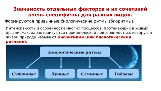 Значимость отдельных факторов и их сочетаний очень специфична для разных видов. Формируются привычные биологические ритмы (биоритмы). Интенсивность и особенности многих процессов, протекающих в живых организмах, характеризуются периодической повторяемостью, которую в живой природе называют  биоритмами (или биологическими ритмами).
