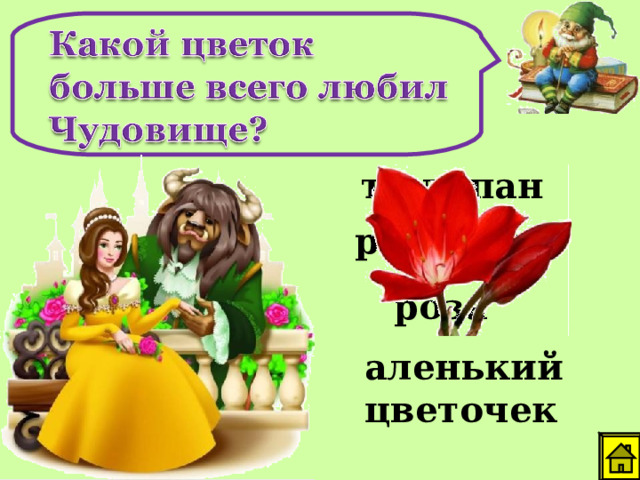 тюльпан ромашка роза аленький цветочек