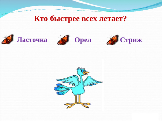 Кто быстрее всех летает? Орел Стриж Ласточка