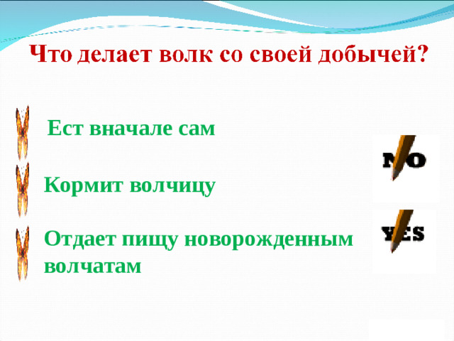 Ест вначале сам Кормит волчицу Отдает пищу новорожденным волчатам