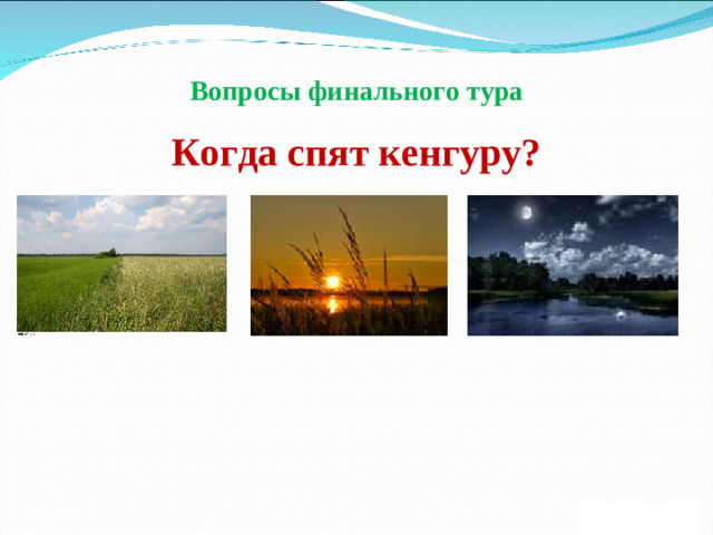 Вопросы финального тура Когда спят кенгуру?