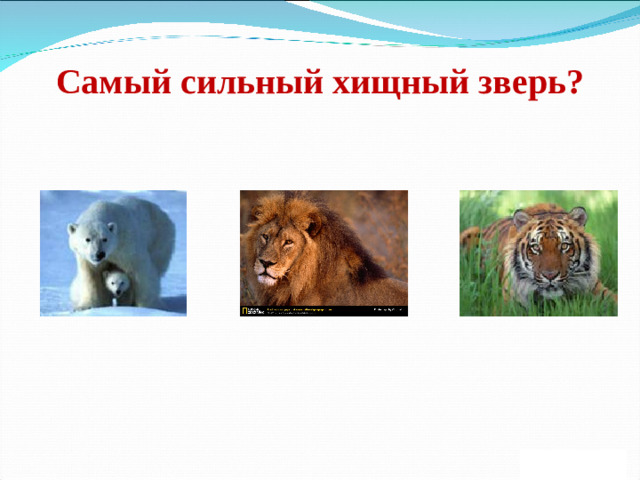 Самый сильный хищный зверь?