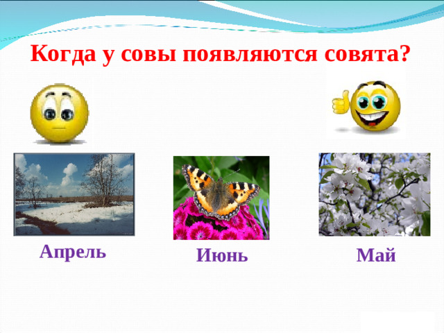 Когда у совы появляются совята? Апрель Июнь Май