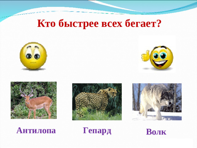 Кто быстрее всех бегает? Антилопа Гепард Волк 2