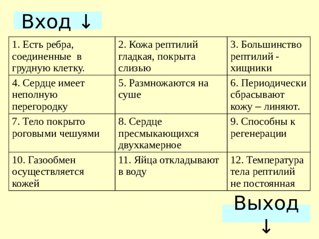 Вход ↓ 1. Есть ребра, соединенные в грудную клетку. 2. Кожа рептилий гладкая, покрыта слизью 4. Сердце имеет неполную перегородку 3. Большинство рептилий - хищники 5. Размножаются на суше 7. Тело покрыто роговыми чешуями 6. Периодически сбрасывают кожу – линяют. 8. Сердце пресмыкающихся двухкамерное 10. Газообмен осуществляется кожей 9. Способны к регенерации 11. Яйца откладывают в воду 12. Температура тела рептилий не постоянная Выход ↓