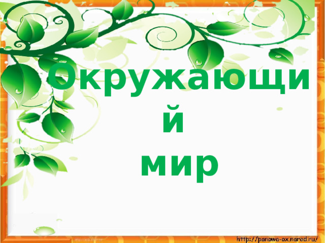 Окружающий  мир