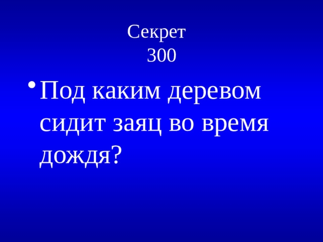 Секрет  300