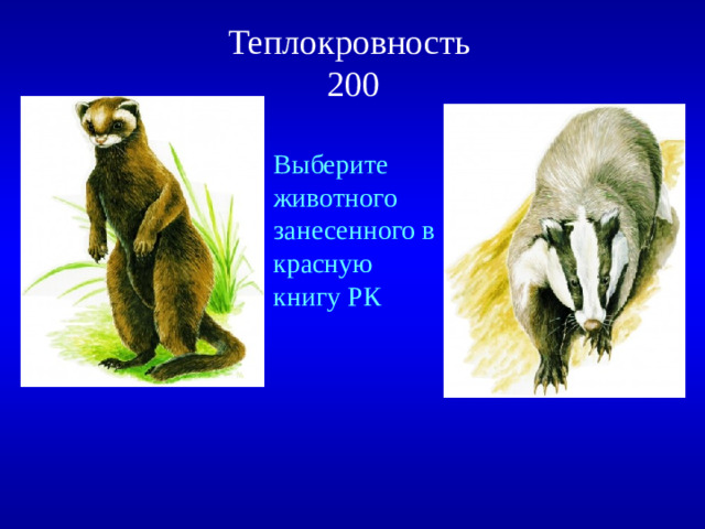 Теплокровность  200 Выберите животного занесенного в красную книгу РК