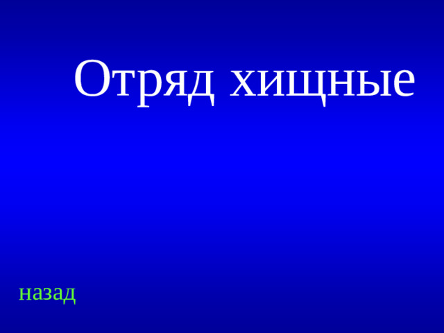 Отряд хищные назад
