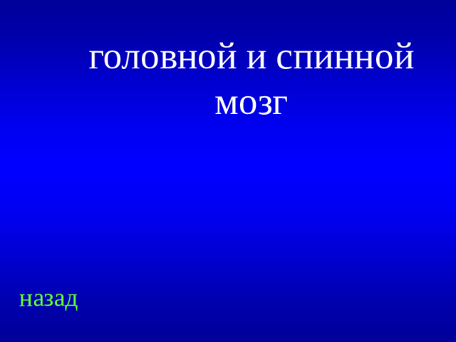 головной и спинной мозг назад