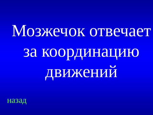 Мозжечок отвечает за координацию движений назад