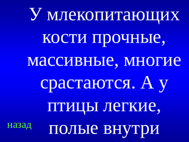 У млекопитающих кости прочные, массивные, многие срастаются. А у птицы легкие, полые внутри назад
