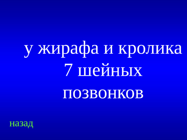 у жирафа и кролика 7 шейных позвонков назад