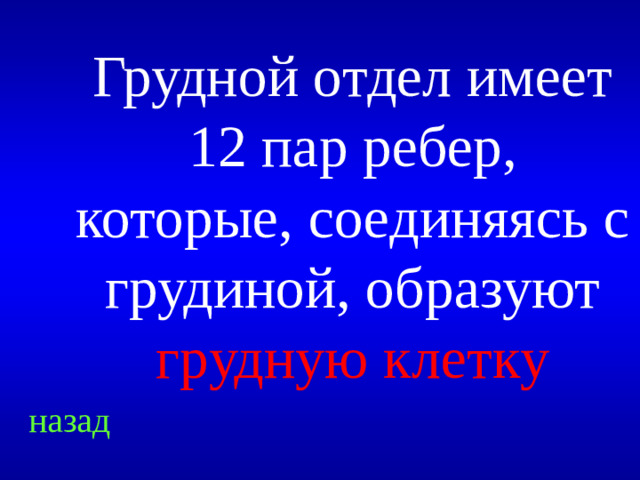 Грудной отдел имеет 12 пар ребер, которые, соединяясь с грудиной, образуют грудную клетку   назад