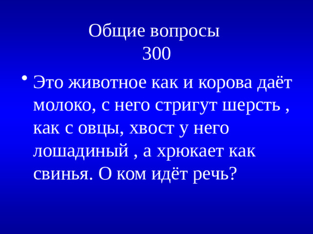 Общие вопросы  300
