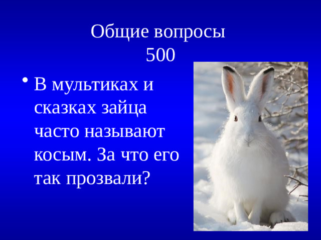 Общие вопросы  500
