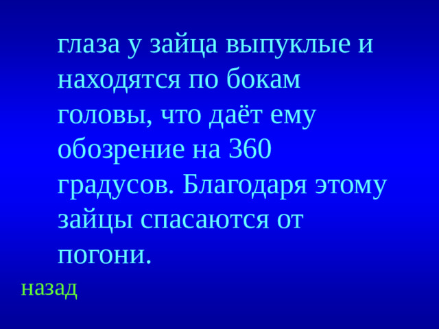 глаза у зайца выпуклые и находятся по бокам головы, что даёт ему обозрение на 360 градусов. Благодаря этому зайцы спасаются от погони. назад