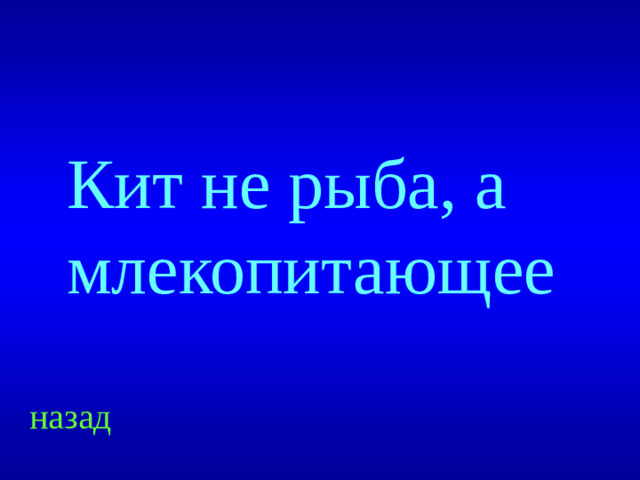 Кит не рыба, а млекопитающее назад
