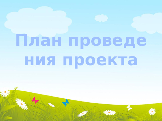 План проведения проекта