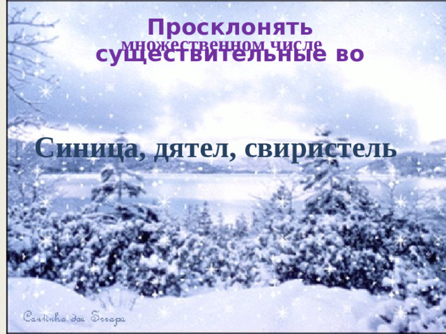 Просклонять существительные во множественном числе Синица, дятел, свиристель .