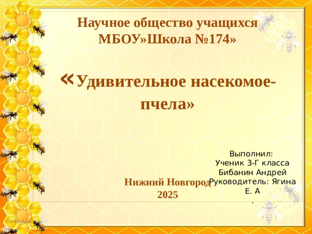 Научное общество учащихся МБОУ»Школа №174» « Удивительное насекомое- пчела»   Нижний Новгород 2025 Выполнил: Ученик 3-Г класса Бибанин Андрей Руководитель: Ягина Е. А .