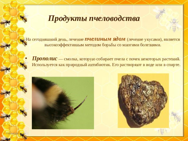 Продукты пчеловодства На сегодняшний день, лечение пчелиным ядом (лечение укусами), является высокоэффективным методом борьбы со многими болезнями.
