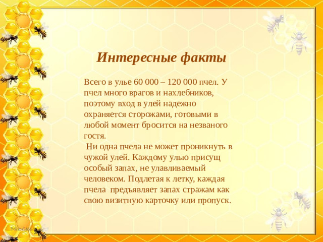 Интересные факты Всего в улье 60 000 – 120 000 пчел. У пчел много врагов и нахлебников, поэтому вход в улей надежно охраняется сторожами, готовыми в любой момент бросится на незваного гостя.  Ни одна пчела не может проникнуть в чужой улей. Каждому улью присущ особый запах, не улавливаемый человеком. Подлетая к летку, каждая пчела предъявляет запах стражам как свою визитную карточку или пропуск.