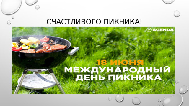 Счастливого пикника!