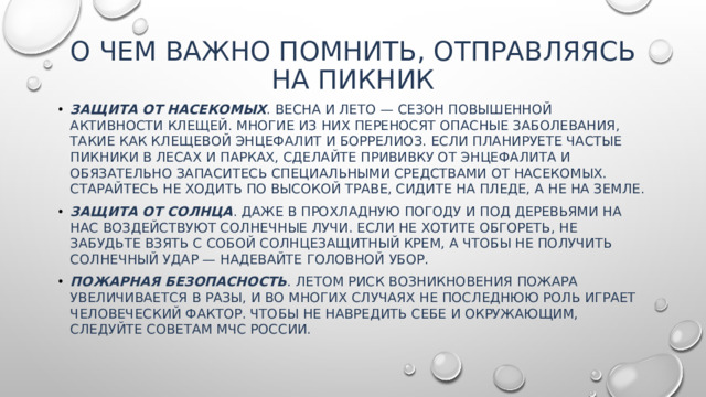 О чем важно помнить, отправляясь на пикник