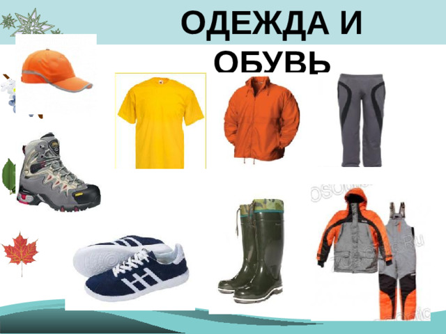 ОДЕЖДА И ОБУВЬ