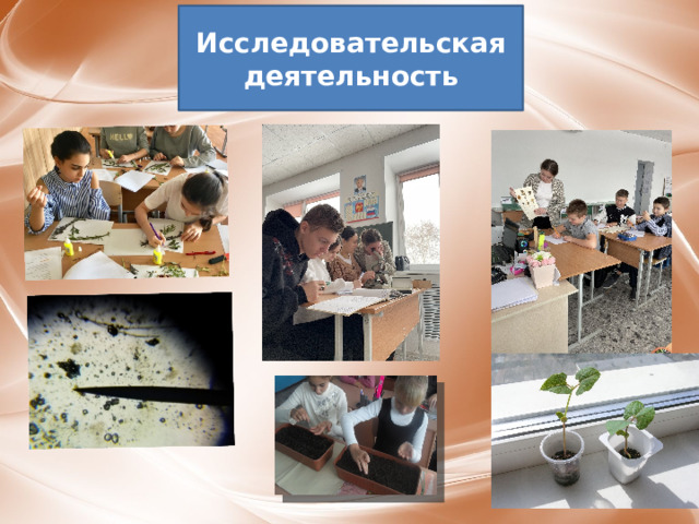 Исследовательская деятельность