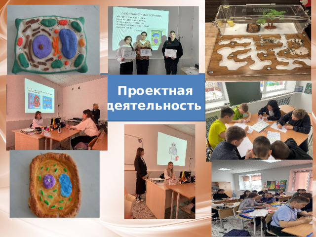 Проектная деятельность