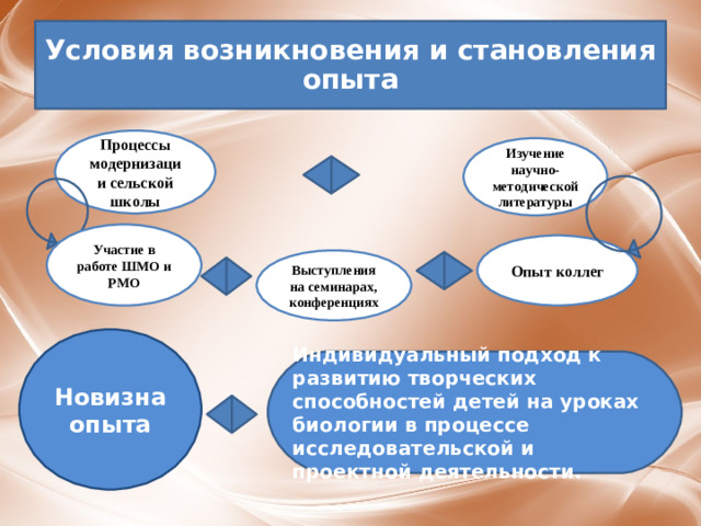 Условия возникновения и становления опыта Процессы модернизации сельской школы Изучение научно-методической литературы Участие в работе ШМО и РМО Опыт коллег Выступления на семинарах, конференциях Новизна опыта Индивидуальный подход к развитию творческих способностей детей на уроках биологии в процессе исследовательской и проектной деятельности.