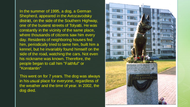 In the summer of 1995, a dog, a German Shepherd, appeared in the Avtozavodsky district, on the side of the Southern Highway, one of the busiest streets of Tolyatti. He was constantly in the vicinity of the same place, where thousands of citizens saw him every day. Residents of neighboring houses fed him, periodically tried to tame him, built him a kennel, but he invariably found himself on the side of the road, watching the cars. Not even his nickname was known. Therefore, the people began to call him 