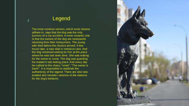 Legend The most common version, which most citizens adhere to, says that the dog was the only survivor of a car accident. A more romantic one is that the owners of the dog are newlyweds returning from their honeymoon. The young wife died before the doctors arrived. A few hours later, a man died in intensive care. And the dog remained waiting for him at the place where he was last seen alive. She was waiting for the owner to come. The dog was guarding his master's last resting place. And every day he rushed to the cherry 