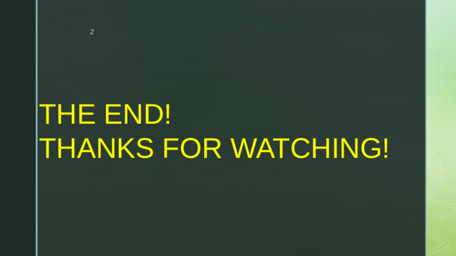 THE END!  THANKS FOR WATCHING!