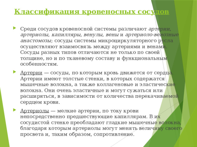 Классификация кровеносных сосудов