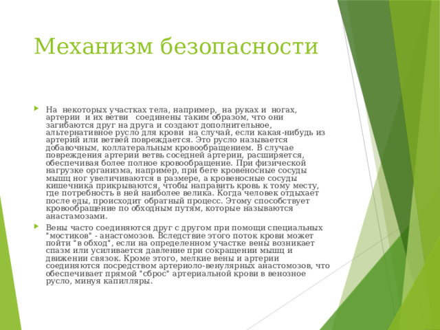 Механизм безопасности