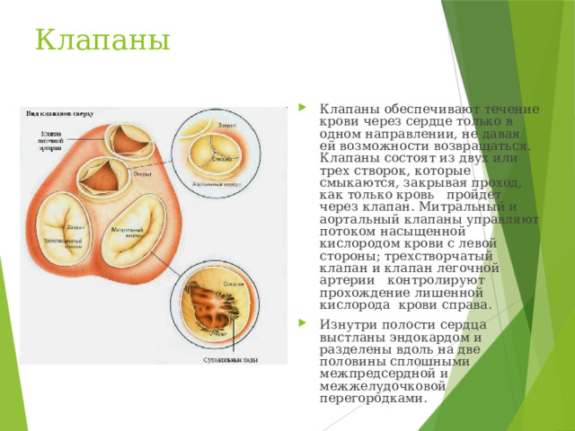 Клапаны